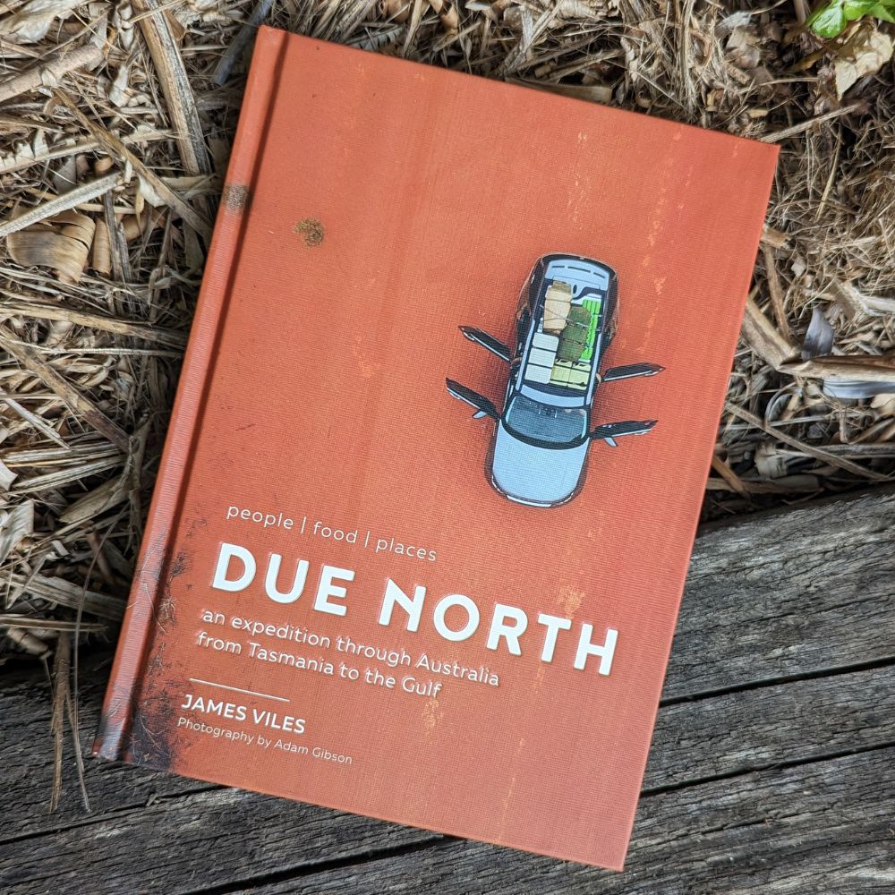 Due North x James Viles