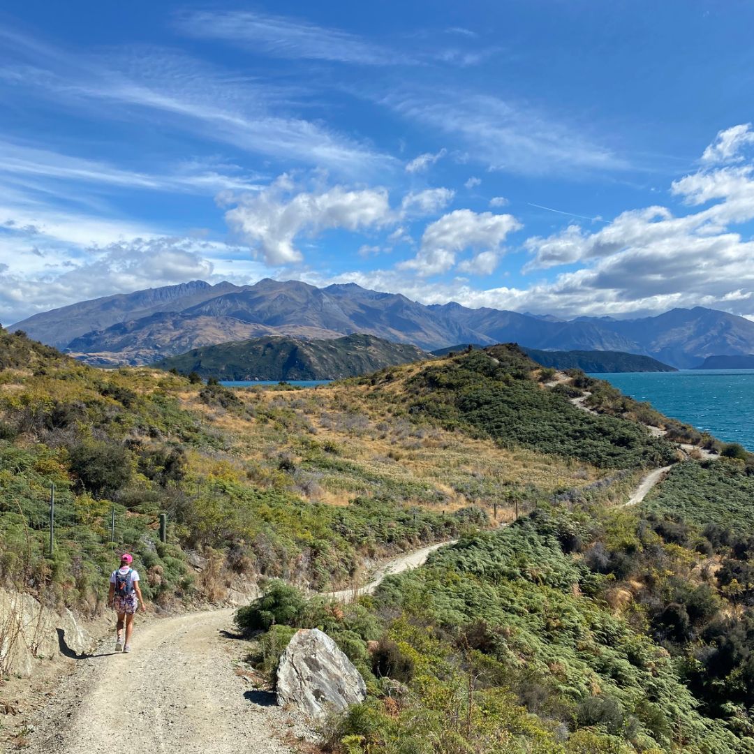 Southern Lakes Ultra, New Zealand